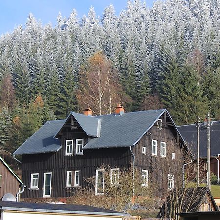 Appartement Fw. Steindoebra Anno Dazumal à Klingenthal Chambre photo